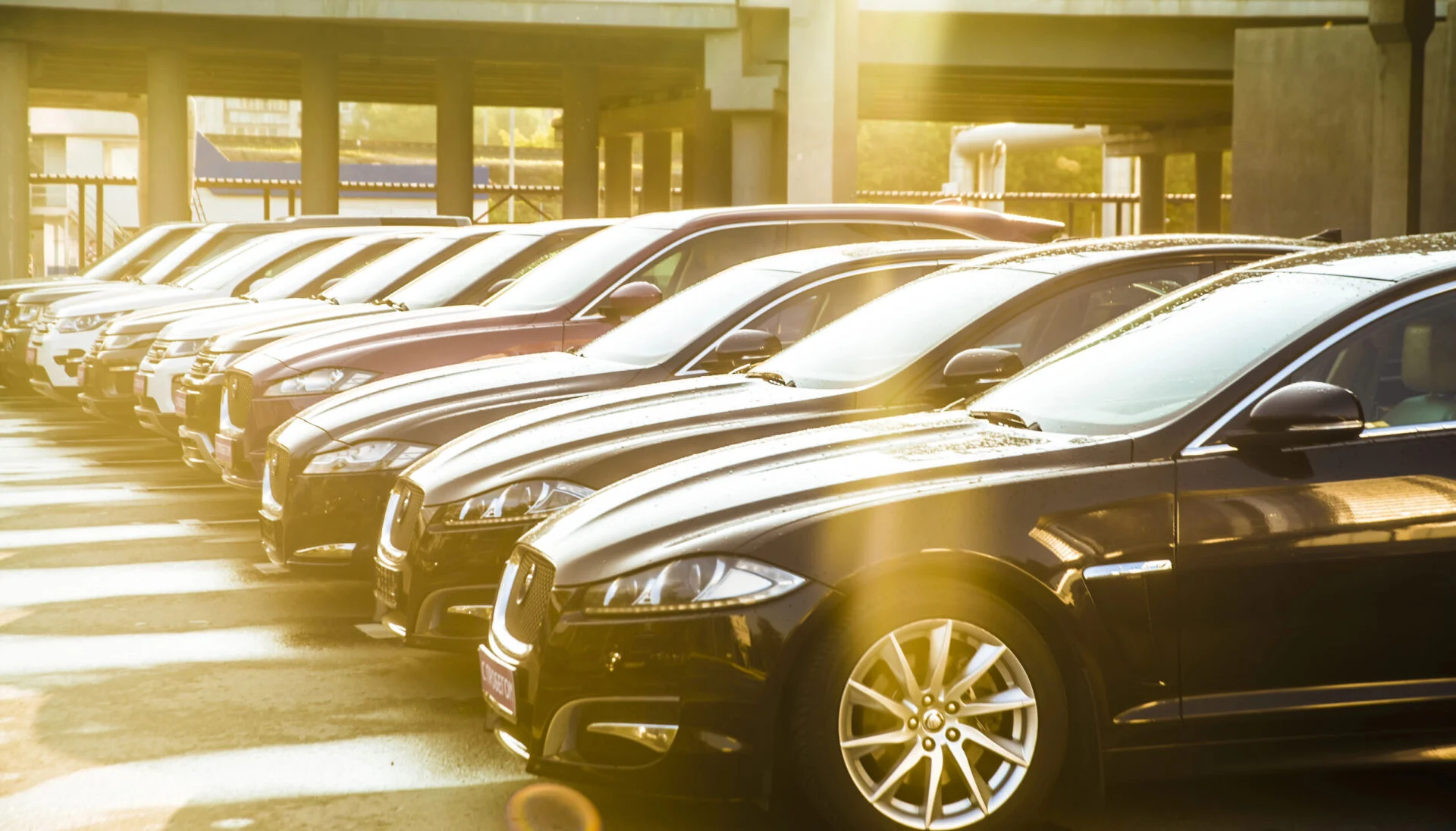 Line up of luxury cars