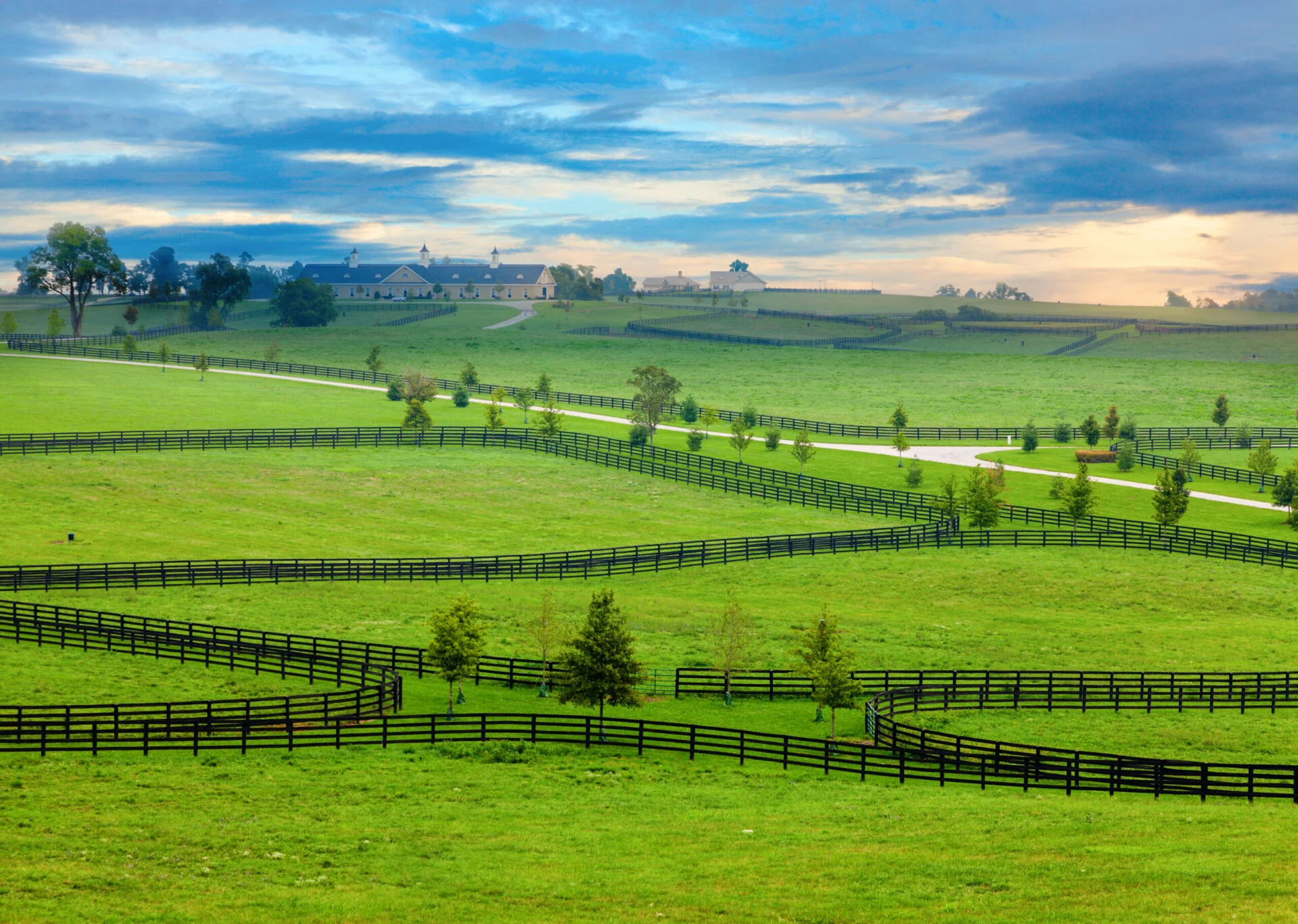 Scenic overlook of a horse farm in central Kentucky.