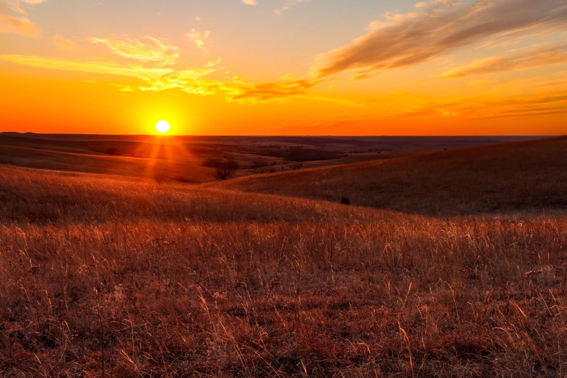 Sunset view of a field in Alma, KS
