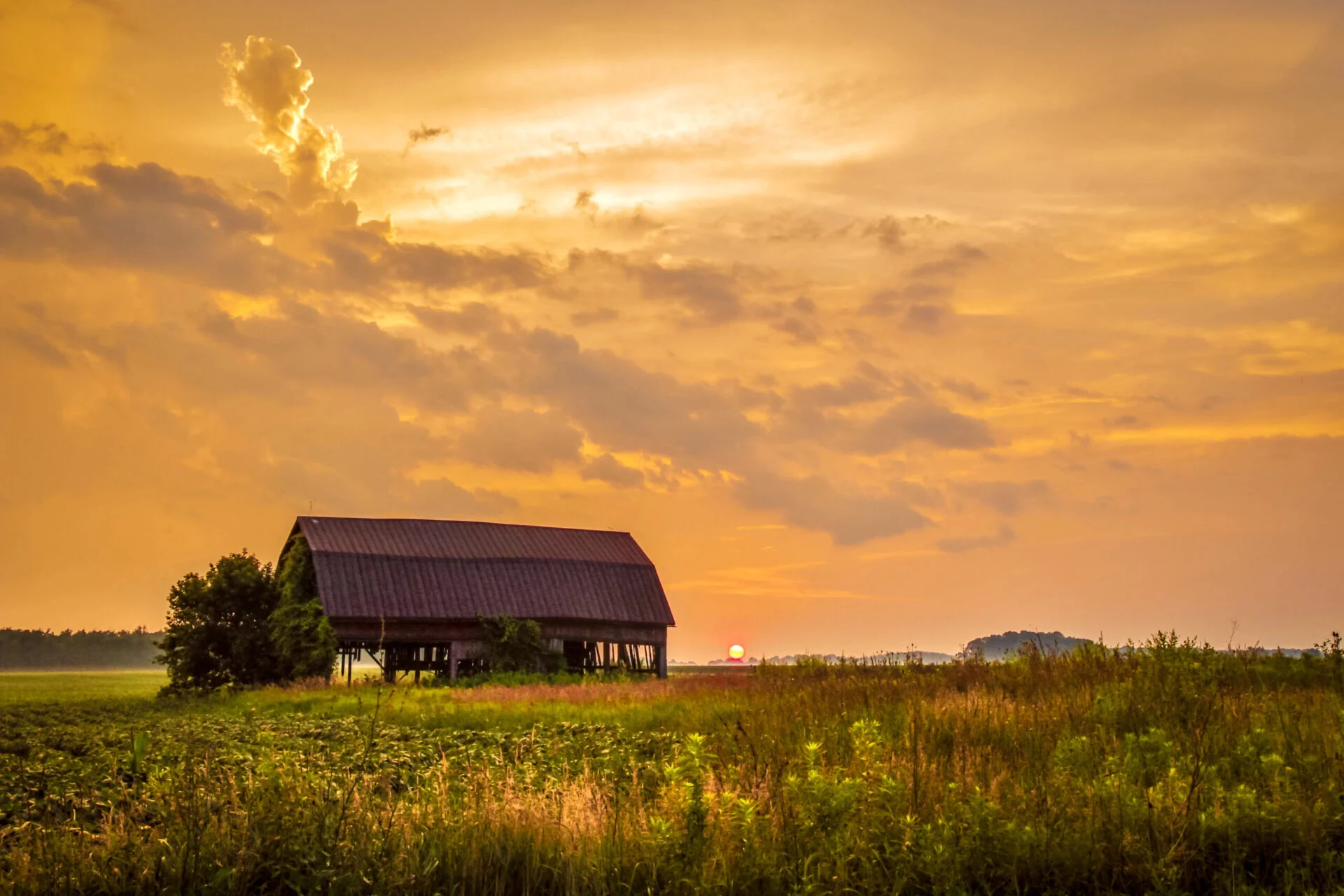 Country sunset in Oklahoma.
